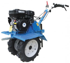 Ostma lükatavad traktori PRORAB GT 750 SU internetis :: omadused ja Foto