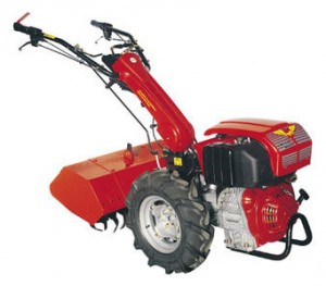 Købe walk-hjulet traktor Meccanica Benassi MTC 620 (15LD440) online :: Egenskaber og Foto