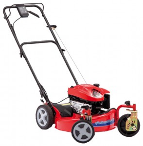 Buy self-propelled lawn mower Simplicity EYPV21675SW online :: Characteristics and Photo
