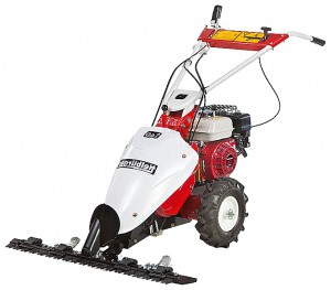 Buy hay mower Tielbuerger T60 Honda GX160 online :: Characteristics and Photo