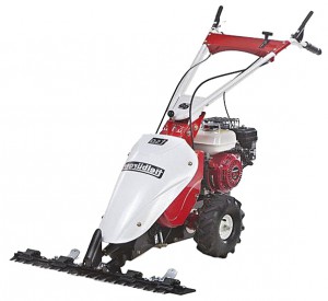 Buy hay mower Tielbuerger T50 Honda online :: Characteristics and Photo