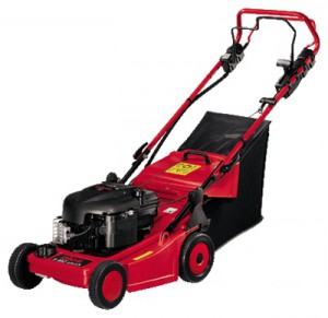 Satın almak kendinden hareketli çim biçme makinesi Solo 546 R çevrimiçi :: özellikleri ve fotoğraf