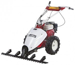 Buy hay mower Tielbuerger T70 B&S online :: Characteristics and Photo