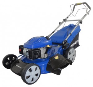 Satın almak kendinden hareketli çim biçme makinesi Hyundai L 5500S çevrimiçi :: özellikleri ve fotoğraf