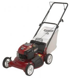 Buy lawn mower CRAFTSMAN 38895 online :: Characteristics and Photo