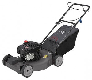 Satın almak kendinden hareketli çim biçme makinesi CRAFTSMAN 37040 çevrimiçi :: özellikleri ve fotoğraf
