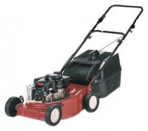 Buy lawn mower MTD 46 P online :: Characteristics and Photo