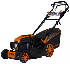 Satın almak kendinden hareketli çim biçme makinesi Daewoo Power Products DLM 5500 SVE çevrimiçi :: özellikleri ve fotoğraf