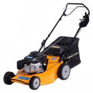 Buy self-propelled lawn mower Cub Cadet CC 5365 Pro online :: Characteristics and Photo