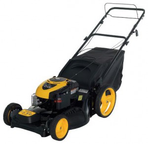 Buy self-propelled lawn mower PARTNER 6553 D online :: Characteristics and Photo