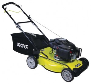 買います 自走式芝刈り機 RYOBI RLM 5219SM オンライン :: 特徴 と フォト