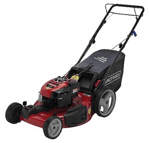 Buy self-propelled lawn mower CRAFTSMAN 37065 online :: Characteristics and Photo