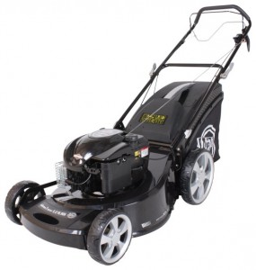 Buy lawn mower Texas WLA 53 TR/W online :: Characteristics and Photo