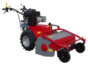 Buy self-propelled lawn mower Meccanica Benassi TR 60 Hydro online :: Characteristics and Photo