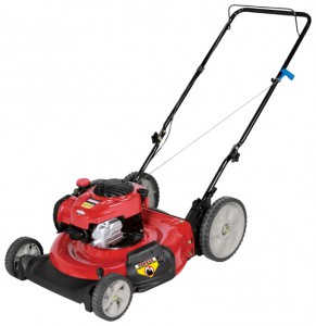 Satın almak çim biçme makinesi CRAFTSMAN 37010 çevrimiçi :: özellikleri ve fotoğraf