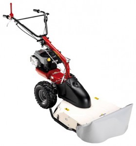 Buy self-propelled lawn mower Eurosystems P70 XT-7 Lawn Mower online :: Characteristics and Photo