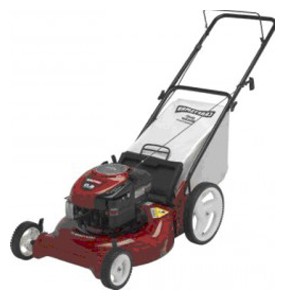 Buy lawn mower CRAFTSMAN 38893 online :: Characteristics and Photo
