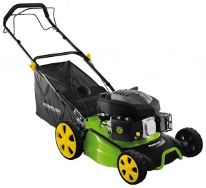 Buy lawn mower Fieldmann FZR 3002-B online :: Characteristics and Photo