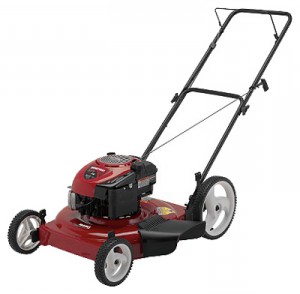 Buy lawn mower CRAFTSMAN 38519 online :: Characteristics and Photo