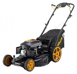 Buy self-propelled lawn mower McCULLOCH M53-170AWFPX online :: Characteristics and Photo