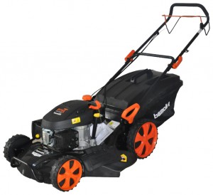 Satın almak kendinden hareketli çim biçme makinesi Nomad NBM 53SW çevrimiçi :: özellikleri ve fotoğraf